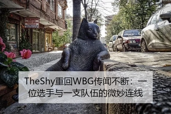 TheShy重回WBG传闻不断：一位选手与一支队伍的微妙连线